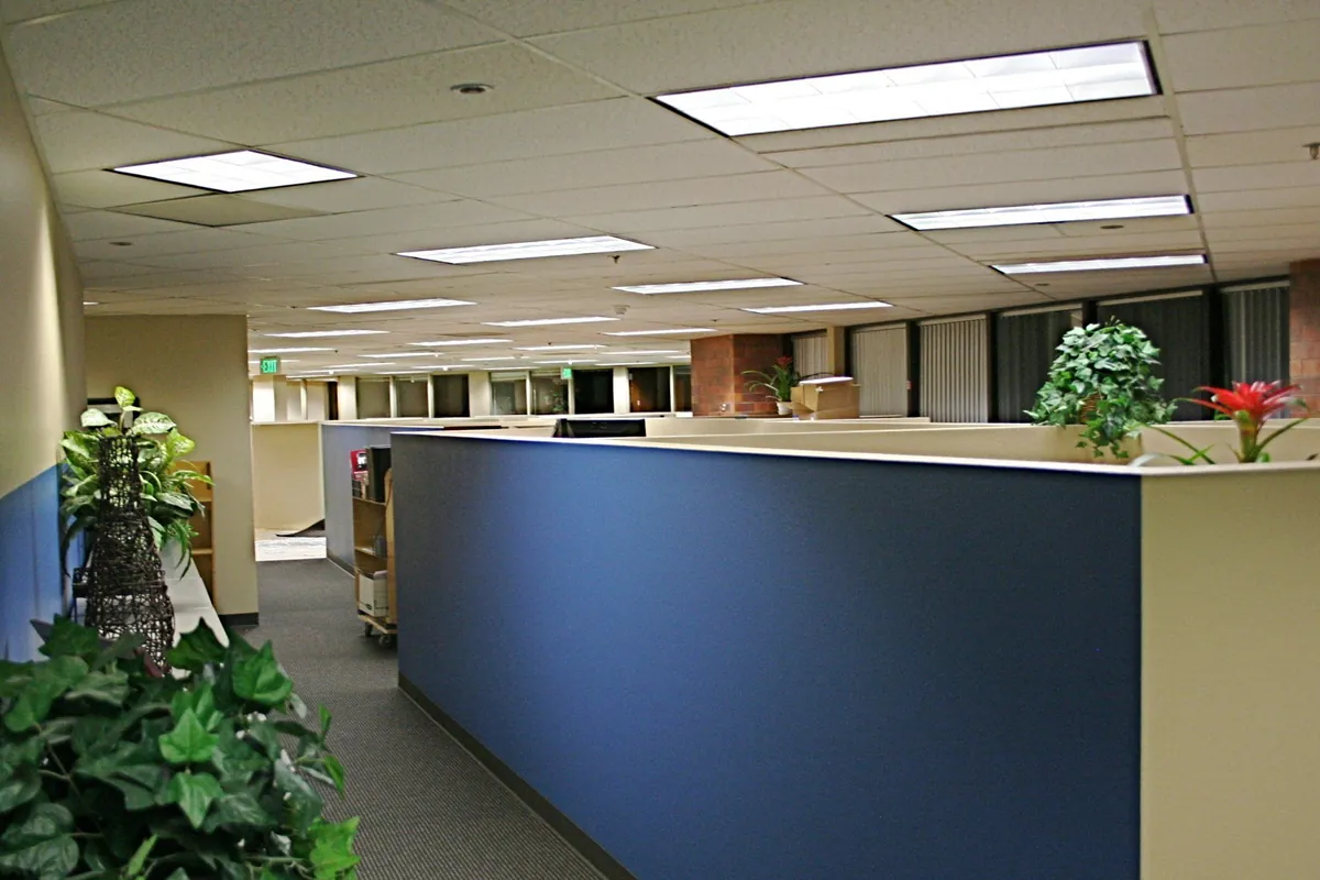 Commercial office interior with a blue feature wall
