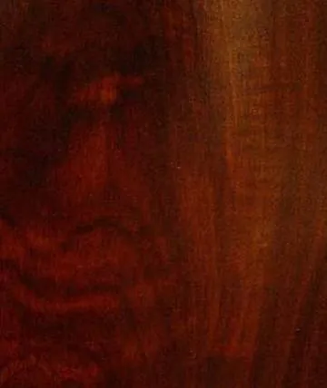 Mahogany wood grain